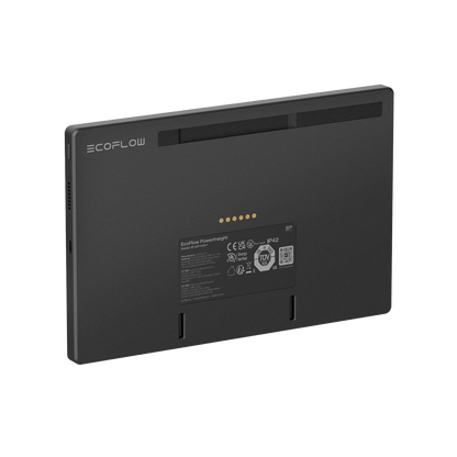 EcoFlow PowerInsight Home Energy Monitor